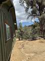98011 Maine Road - Photo 24