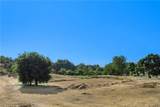 15625 Warm Springs Dr - Photo 19