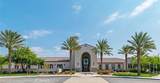 43885 Arancia Way - Photo 20