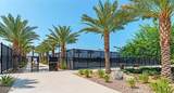 43885 Arancia Way - Photo 22
