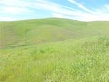 0 Douglas Rd. (Lot 42) - Photo 17