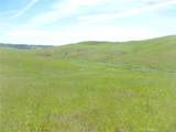 0 Douglas Rd. (Lot 42) - Photo 18
