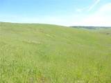 0 Douglas Rd. (Lot 42) - Photo 19