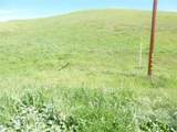 0 Douglas Rd. (Lot 42) - Photo 21