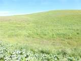 0 Douglas Rd. (Lot 42) - Photo 25