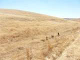 0 Douglas Rd. (Lot 42) - Photo 32