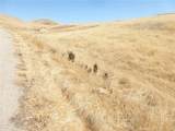 0 Douglas Rd. (Lot 42) - Photo 34