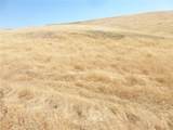 0 Douglas Rd. (Lot 42) - Photo 35