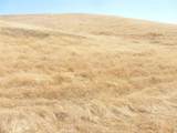 0 Douglas Rd. (Lot 42) - Photo 36