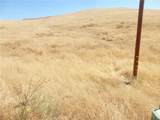 0 Douglas Rd. (Lot 42) - Photo 42