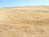 0 Douglas Rd. (Lot 43) - Photo 38