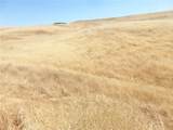 0 Douglas Rd. (Lot 43) - Photo 39