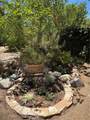 524 Golden West Drive - Photo 38