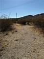 1 Twentynine Palms - Photo 6