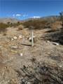 1 Twentynine Palms - Photo 8