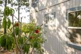 1477 Sequoia Drive - Photo 21