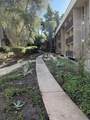 6202 Friars Road - Photo 10