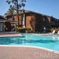 33852 Del Obispo St Unit - Photo 1