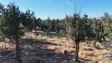 5200 Blackberry Lane - Photo 11