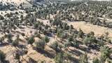 5200 Blackberry Lane - Photo 14