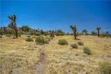 5407 Paradise View Road - Photo 40