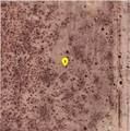0 Sequoia - Photo 1