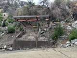 6653 Bear Canyon - Photo 1