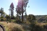 13911 Cluster - Photo 5
