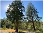 0 Pine Mountain - Photo 11