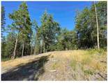 0 Pine Mountain - Photo 9