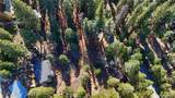 7232 Yosemite Park - Photo 2