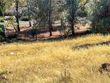 10203 El Capitan - Photo 2