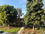 2290 Via Puerta - Photo 15