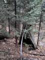 0 Fleming Creek - Photo 4