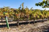 77620 Lowes Canyon - Photo 12