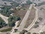 77620 Lowes Canyon - Photo 15
