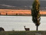 0 Lake View - Photo 17