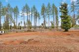 707 Madrone Way - Photo 39
