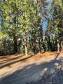 22447 Ponderosa - Photo 3