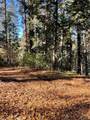 22447 Ponderosa - Photo 5
