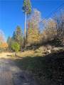 29834 Juniper - Photo 3