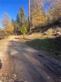 29834 Juniper - Photo 5