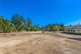 5547 Paradise Valley - Photo 4
