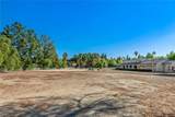 5547 Paradise Valley - Photo 5