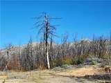 161 Shadow Creek - Photo 13