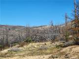 161 Shadow Creek - Photo 15