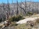 161 Shadow Creek - Photo 16