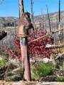 161 Shadow Creek - Photo 8