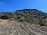 25858 Mulholland - Photo 13