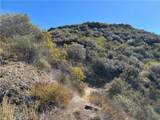 25858 Mulholland - Photo 14